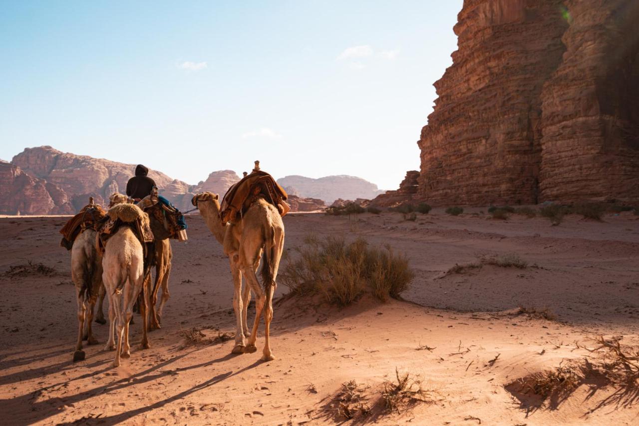 Stars Life Camp-Tour Hotell Wadi Rum Exteriör bild