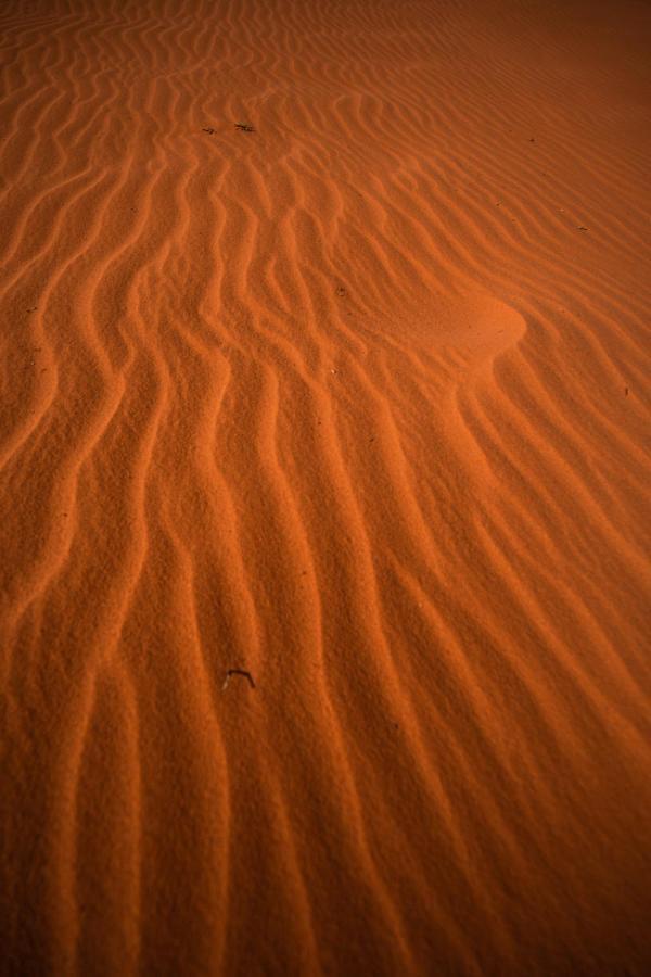 Stars Life Camp-Tour Hotell Wadi Rum Exteriör bild