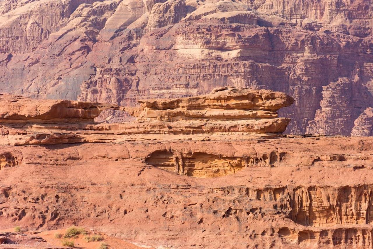 Stars Life Camp-Tour Hotell Wadi Rum Exteriör bild
