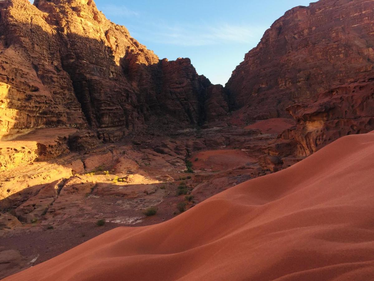Stars Life Camp-Tour Hotell Wadi Rum Exteriör bild