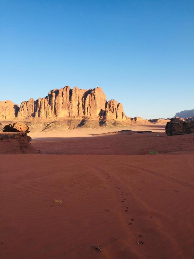 Stars Life Camp-Tour Hotell Wadi Rum Exteriör bild